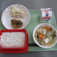 白菜のお話