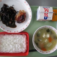 冬野菜の金メダリスト「白菜」
