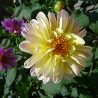 花いっぱい