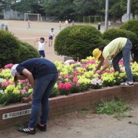 花壇の管理に活躍する６年生