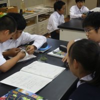 理科の授業の一場面