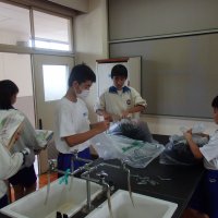 奉仕・貢献する心が育っています