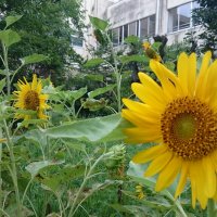 3年1組 学級紹介