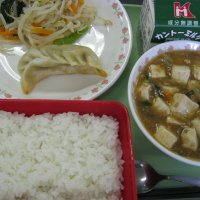 マーボー豆腐