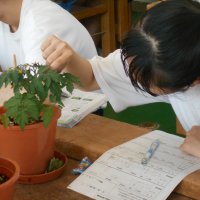 対象との対話 ~ 技術(栽培)の授業