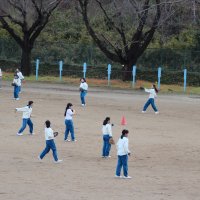 ソフトボール