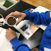火山の学習