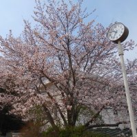 ケンウッド先生の学習動画を配信しています!