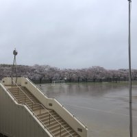 令和2年度がスタートしました