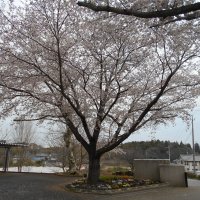新学期に向けて