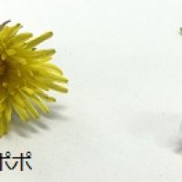 7年生のみなさんへ