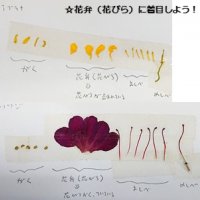 7年生の皆さんへ ~入学式から1ヶ月~