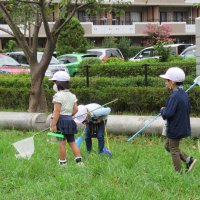 虫さがし