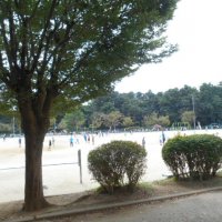 さわやかな秋空の下で