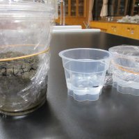 水は空気中に出ていくの?