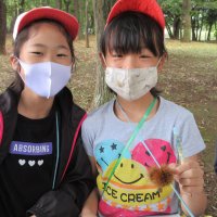 4年生 「秋」をさがしに水辺公園へ行ってきました(理科)