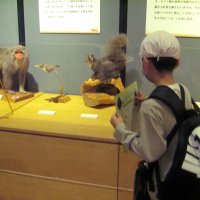 3年生の遠足