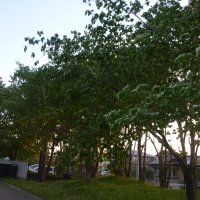 放課後の様子