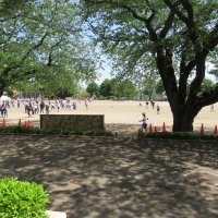 明日から連休が始まります。