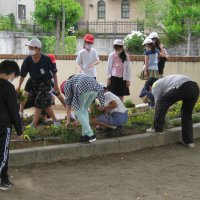 環境委員会 花壇整備