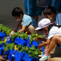 1年生の様子(情報広報委員)