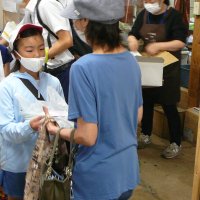 みずほの村市場との連携~3年生総合的な学習
