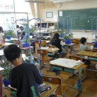 見て見て大きくなったよ！