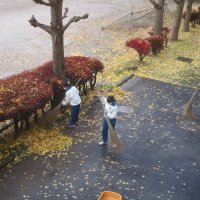 奉仕・貢献する心を大切にする生徒