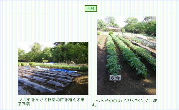すくすく４月