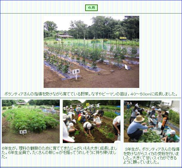 すくすく６月