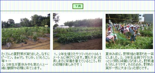 すくすく７月