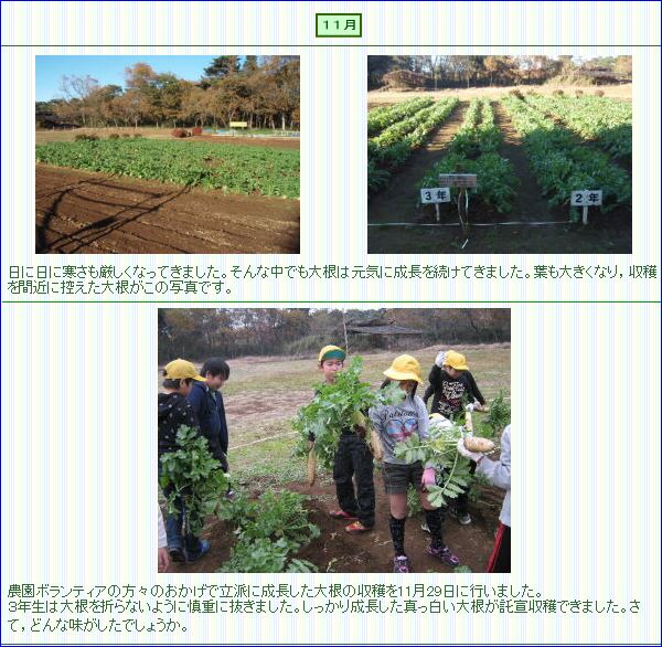 すくすく１１月
