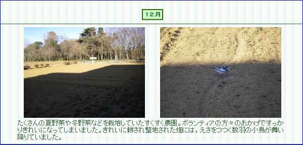 すくすく１２月