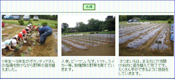 すくすく　５月