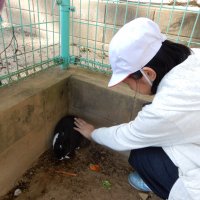 うさぎにいやされたいかい？