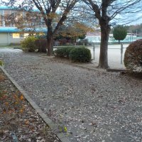 体調管理にお気を付けください