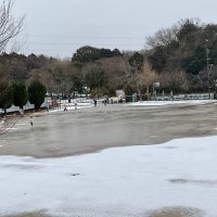 登校の様子