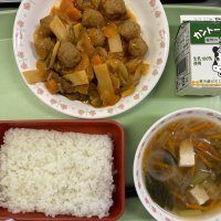 肉団子と野菜がたっぷりでした！