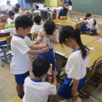 いろいろなかたち