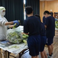 地元の食材にふれる活動