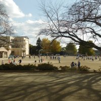 外で元気に遊んでます。