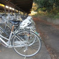 登校後の様子