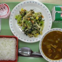 今日はカレーの日