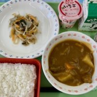 バナナ入りビーフカレー