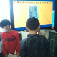 発表の準備を進めています。