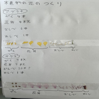 花のつくり