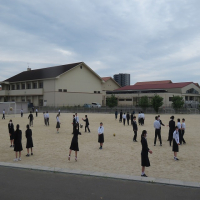 外で元気に遊んでいます