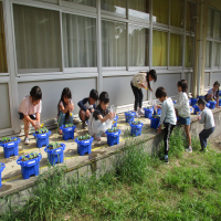【牛久小　１年生】朝顔の水やり