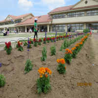 学校花壇