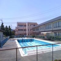 中根小のプール